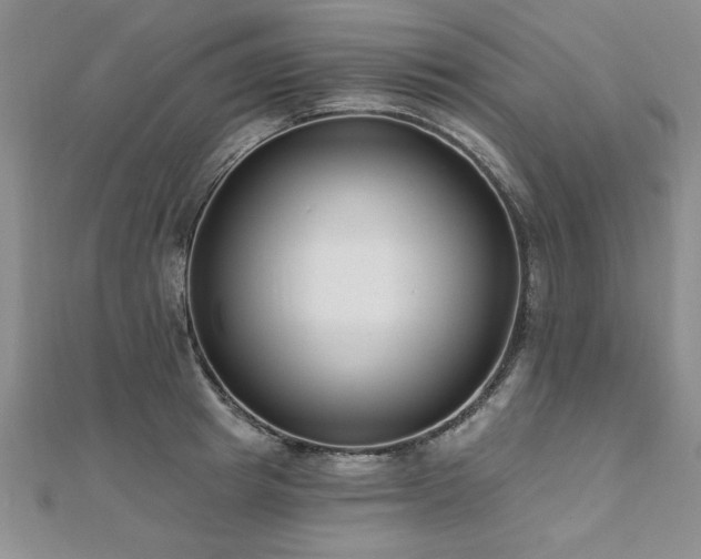 X0000112540849200908171440