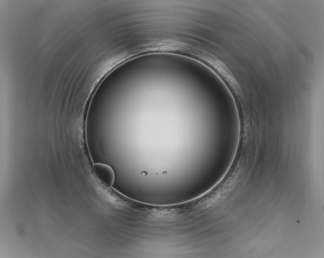 X0000112540850200908171440