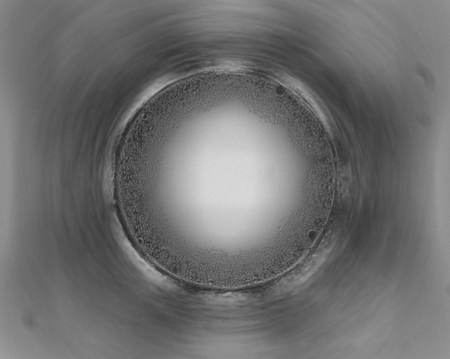 X0000112540851200908171440