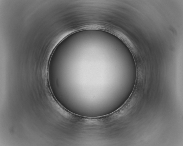 X0000112540852200908171440