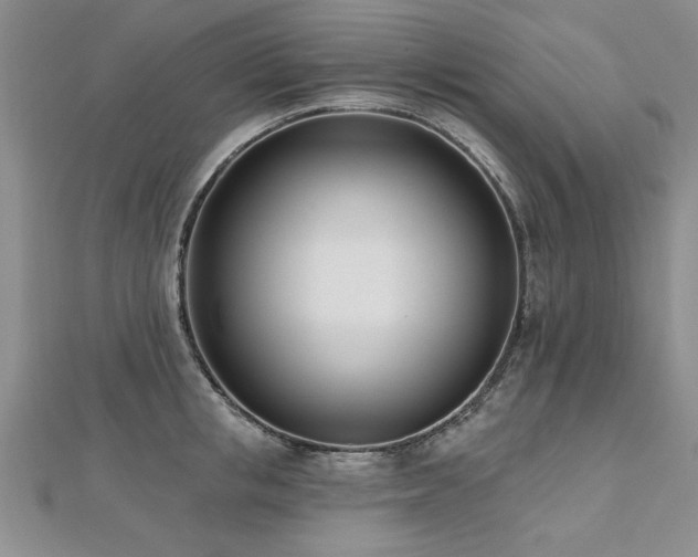 X0000112540853200908171440