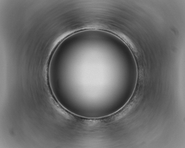 X0000112540854200908171441
