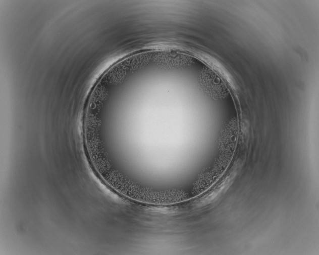 X0000112540855200908171441