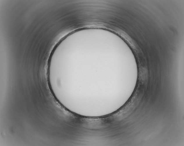 X0000112540856200908171441