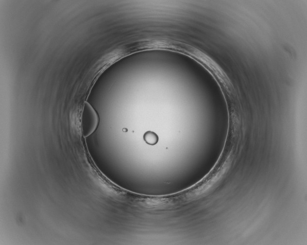 X0000112540857200908171441