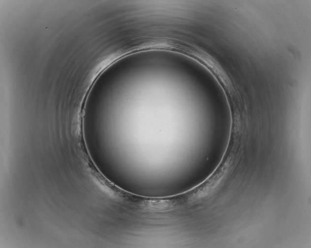 X0000112540858200908171441