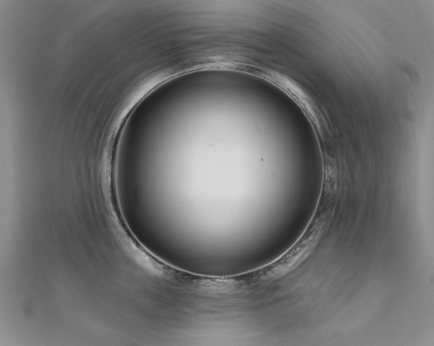 X0000112540859200908171441