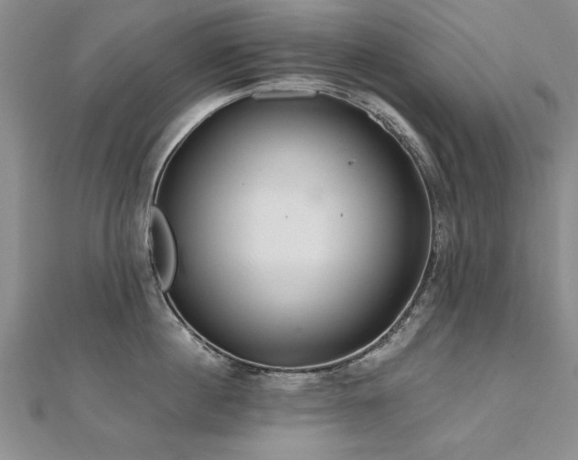 X0000112540860200908171441