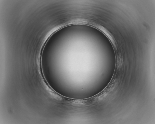 X0000112540861200908171441