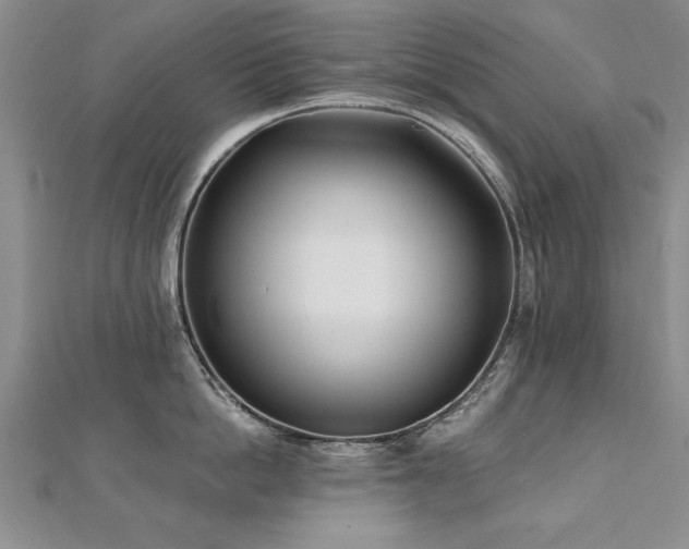 X0000112540862200908171441