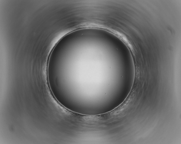 X0000112540863200908171441