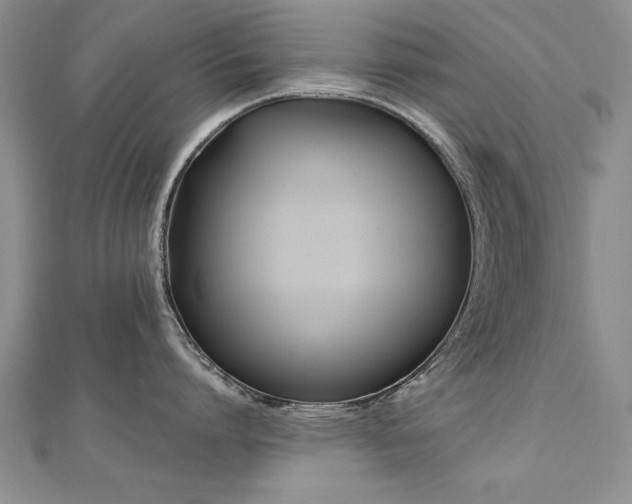 X0000112540864200908171441