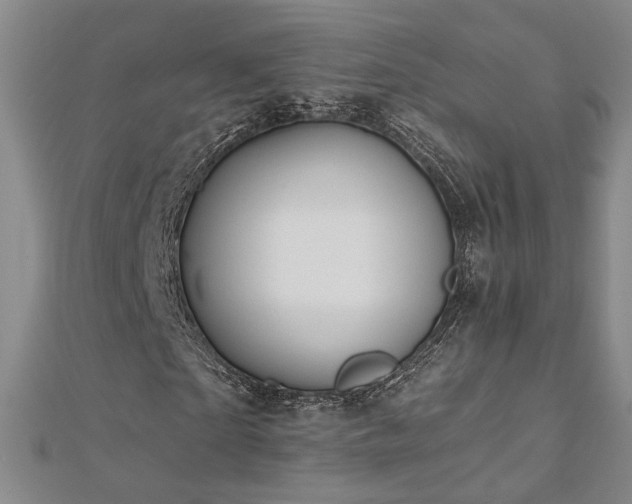 X0000112540865200908171440