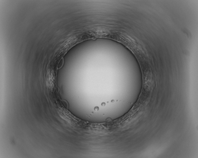 X0000112540866200908171440
