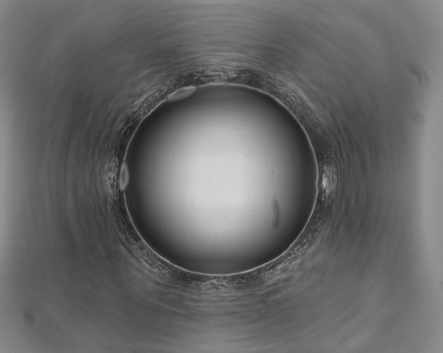X0000112540867200908171440