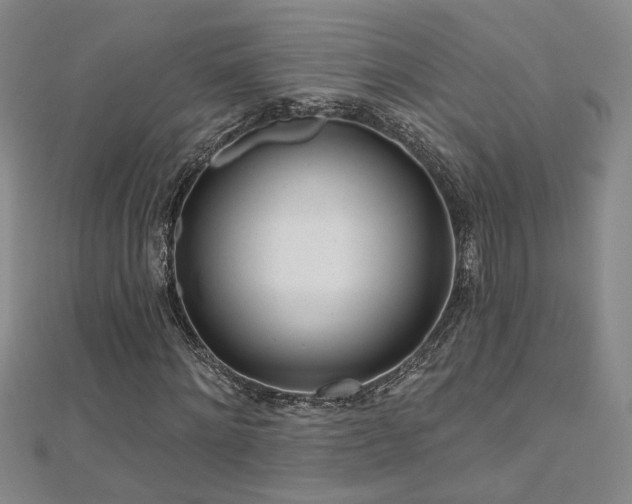 X0000112540868200908171440