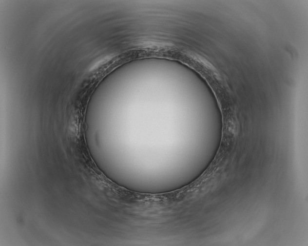 X0000112540869200908171440