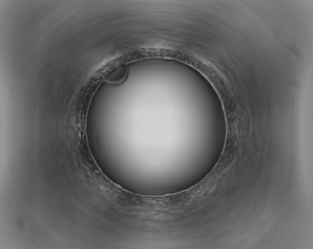X0000112540870200908171440