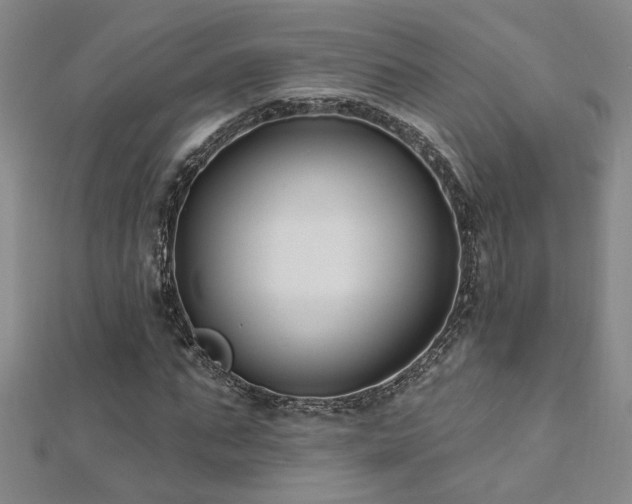 X0000112540871200908171440
