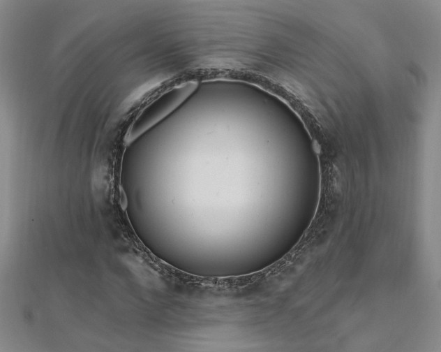 X0000112540872200908171440