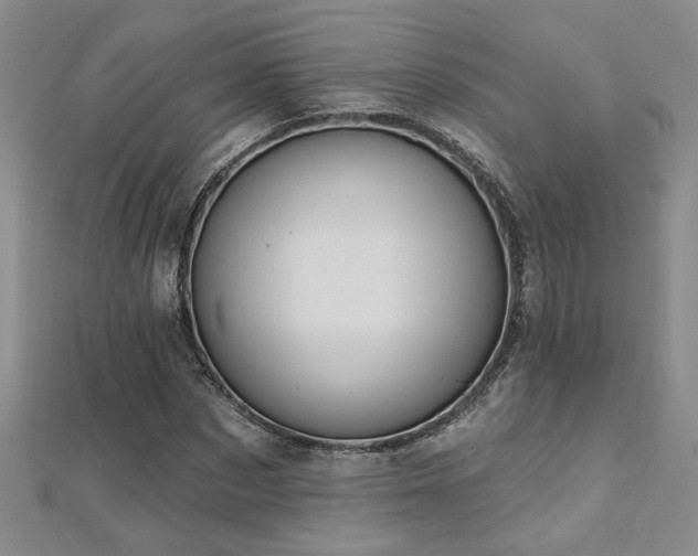X0000112540873200908171440