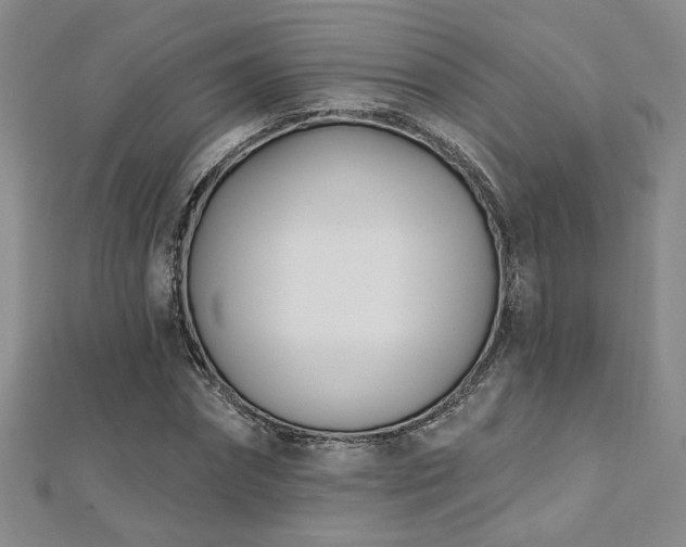 X0000112540874200908171440
