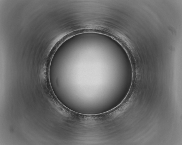 X0000112540875200908171440