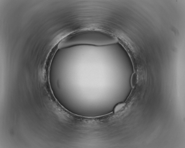 X0000112540876200908171440