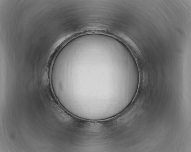 X0000112540878200908171440