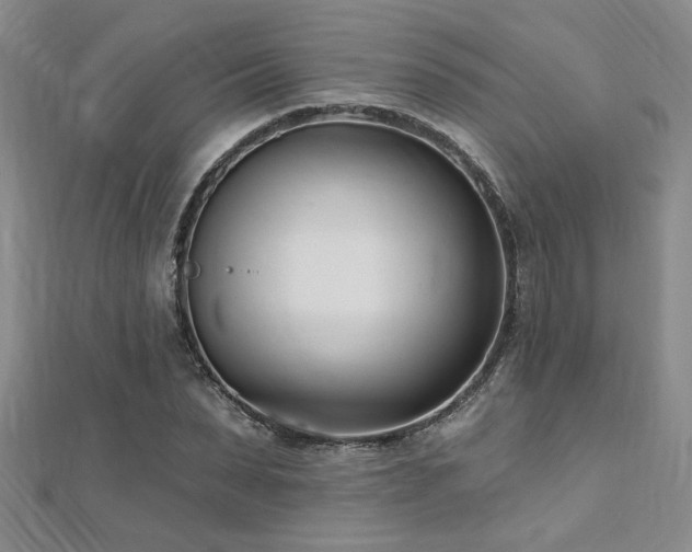 X0000112540879200908171440