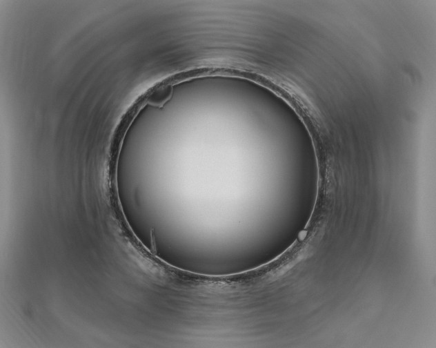 X0000112540880200908171440
