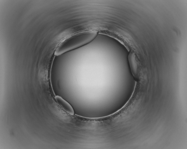 X0000112540881200908171440