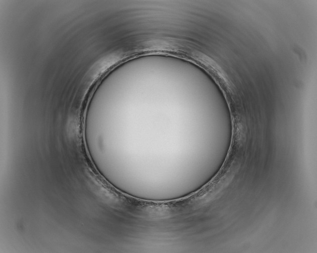 X0000112540882200908171440