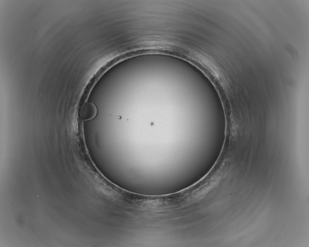 X0000112540883200908171440