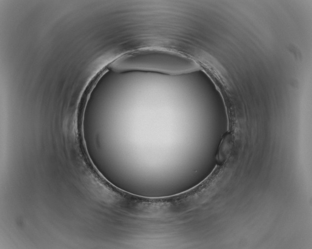 X0000112540884200908171440