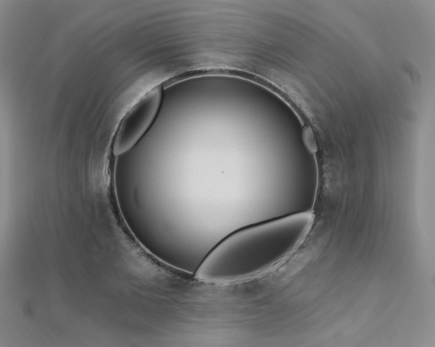 X0000112540885200908171440