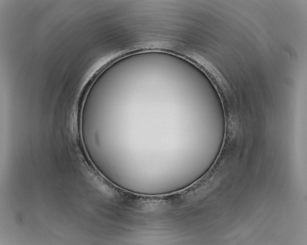 X0000112540886200908171440