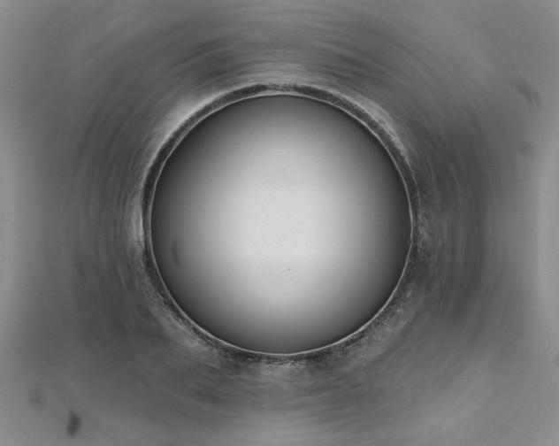 X0000112540887200908171440