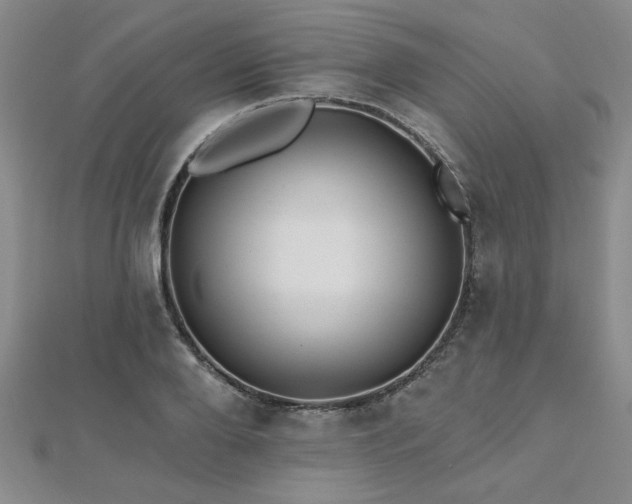 X0000112540888200908171440