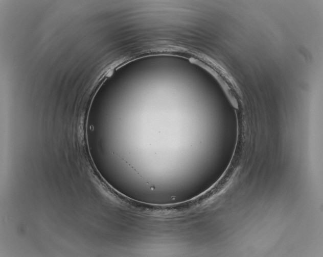 X0000112540889200908171440