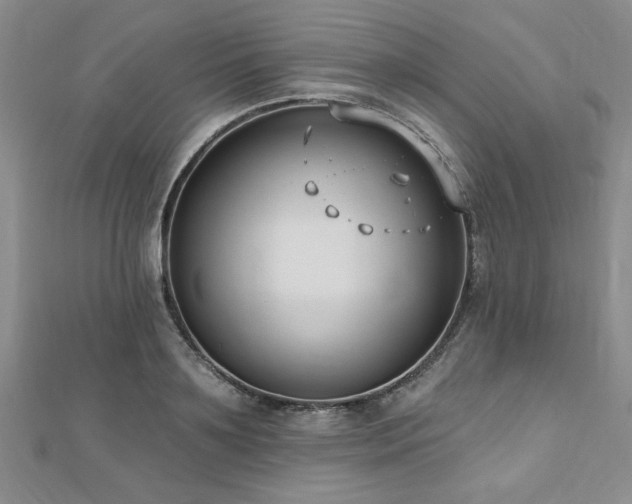 X0000112540891200908171440
