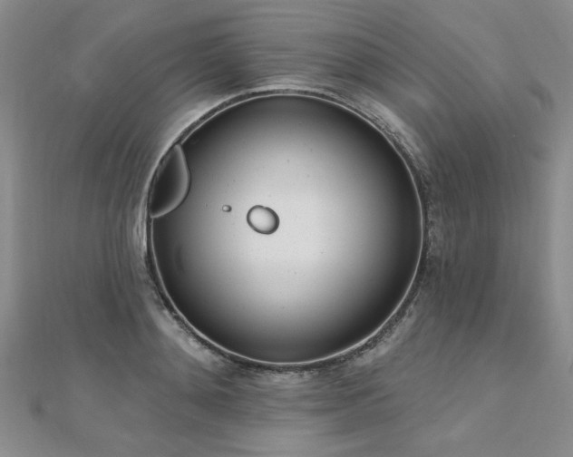 X0000112540892200908171439