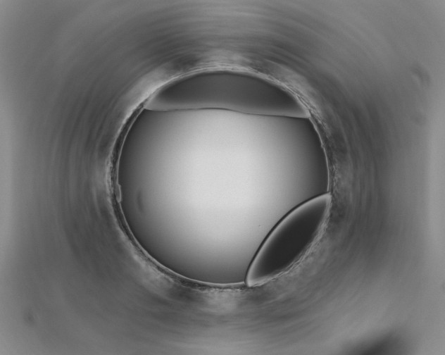 X0000112540893200908171439