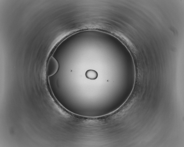 X0000112540894200908171439
