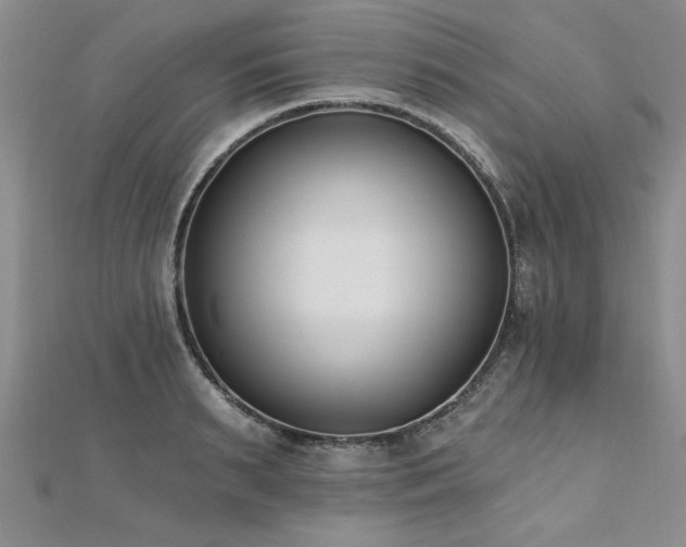X0000112540895200908171439