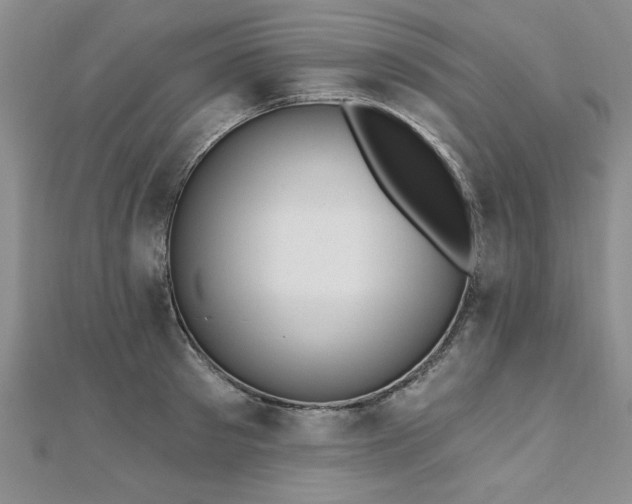 X0000112540897200908171439