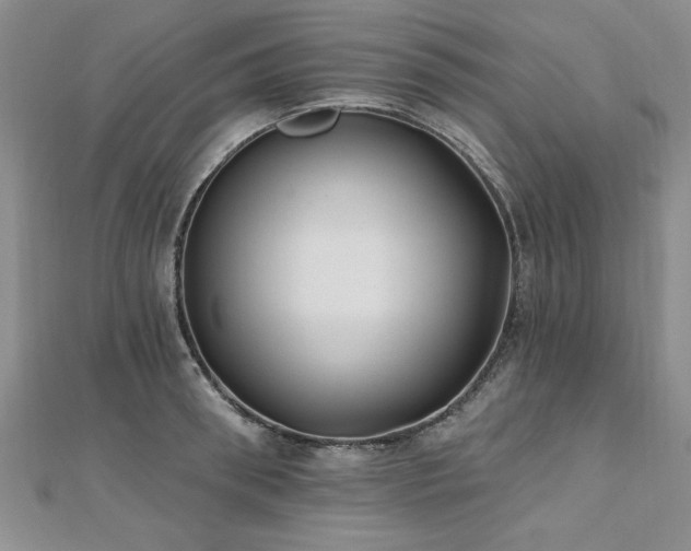 X0000112540898200908171439