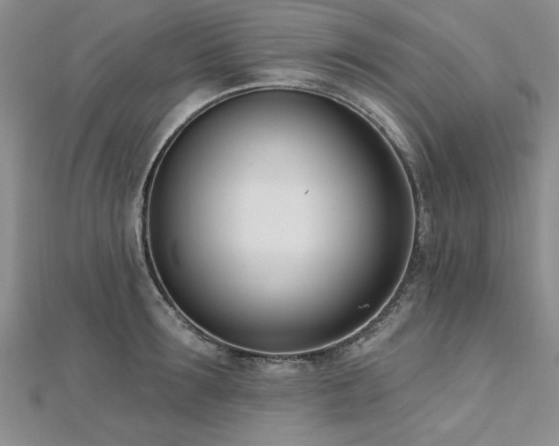 X0000112540899200908171439