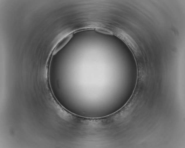 X0000112540900200908171439