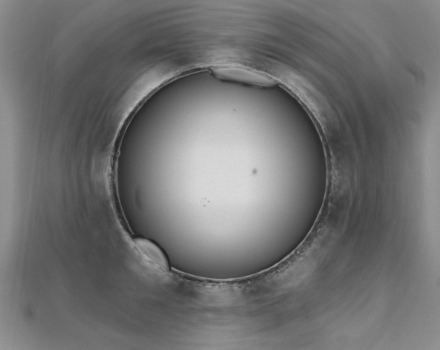 X0000112540901200908171439